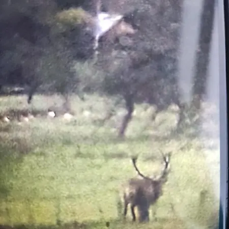 федорчуків гірська хатина 1