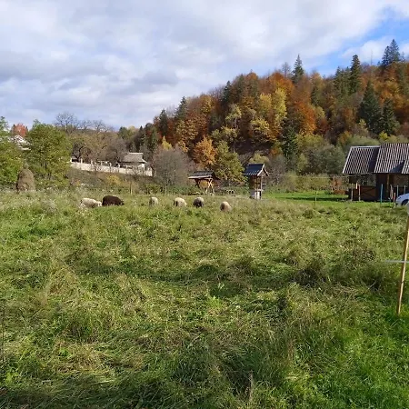 федорчуків гірська хатина 1 Apartmán