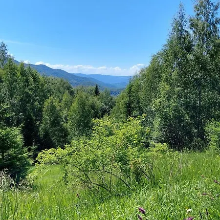 Apartment федорчуків гірська хатина 1 *