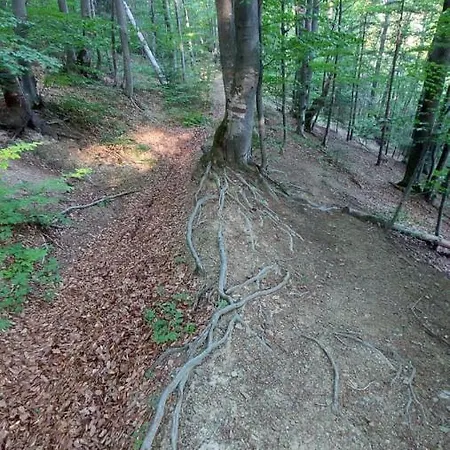 федорчуків гірська хатина 1 Apartmán *