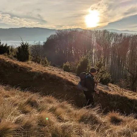 федорчуків гірська хатина 1 Sheshory