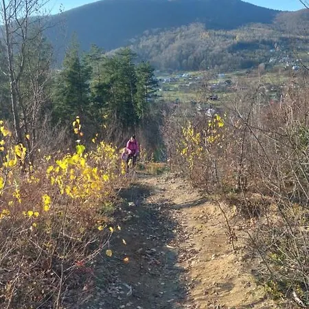 Apartment федорчуків гірська хатина 1 Sheshory