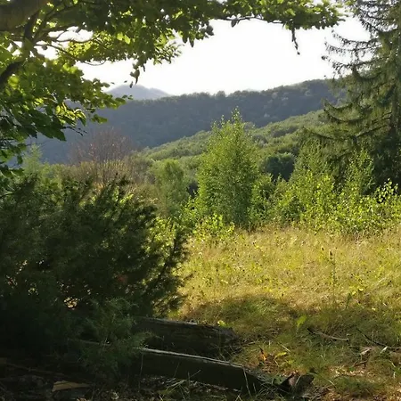 федорчуків гірська хатина 1 Apartment *