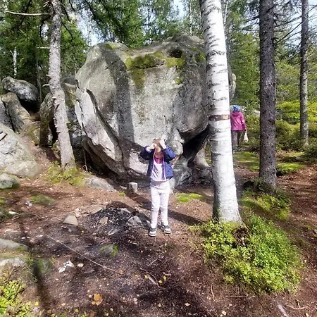 федорчуків гірська хатина 1 Apartment